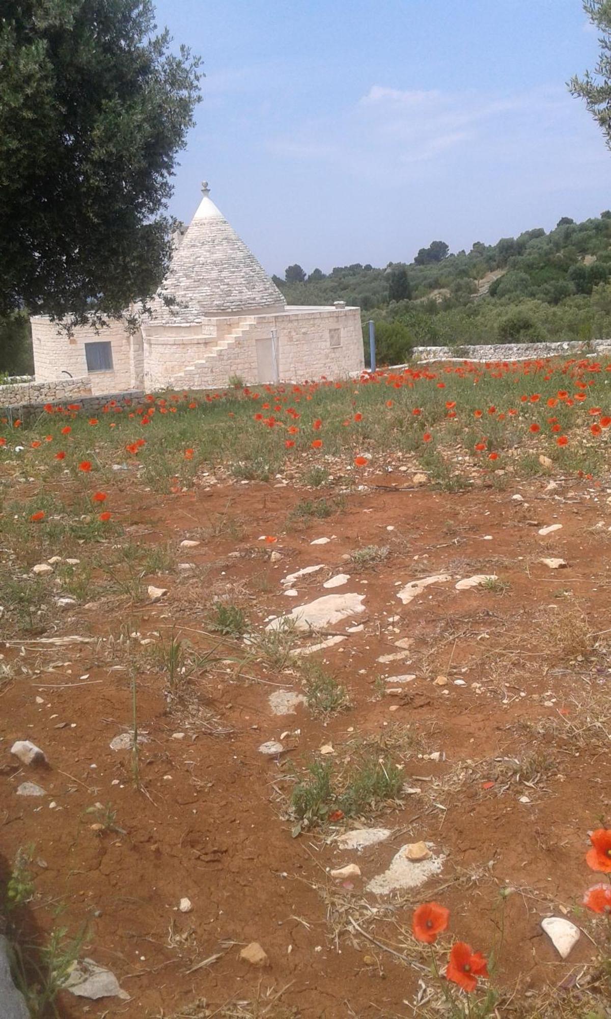 Trullo Alto Salento Villa Cisternino Luaran gambar
